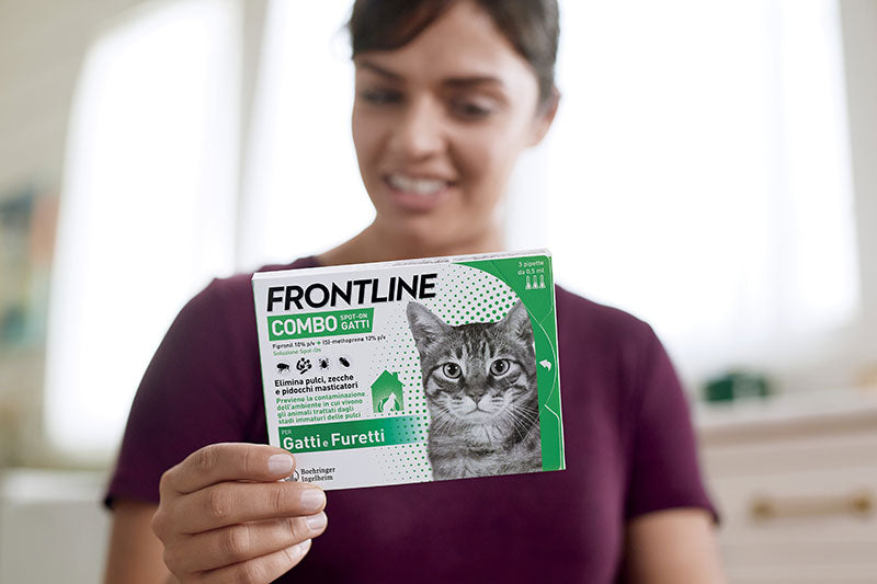 Frontline Combo Gatti 6 Pipette Frontline Combo Gatti 6 Pipette